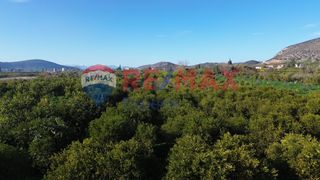 Οικόπεδο 4.842 τ.μ. για πώληση, Αργολίδα, Ασίνη-thumb-19