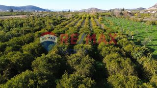 Οικόπεδο 4.842 τ.μ. για πώληση, Αργολίδα, Ασίνη-thumb-4