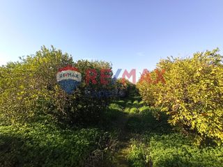 Οικόπεδο 4.842 τ.μ. για πώληση, Αργολίδα, Ασίνη-thumb-12