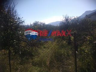 Οικόπεδο 4.250 τ.μ. για πώληση