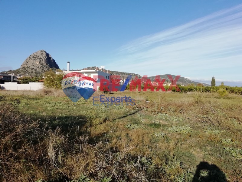 Οικόπεδο 1.330 τ.μ. για πώληση, Αργολίδα, Ασίνη