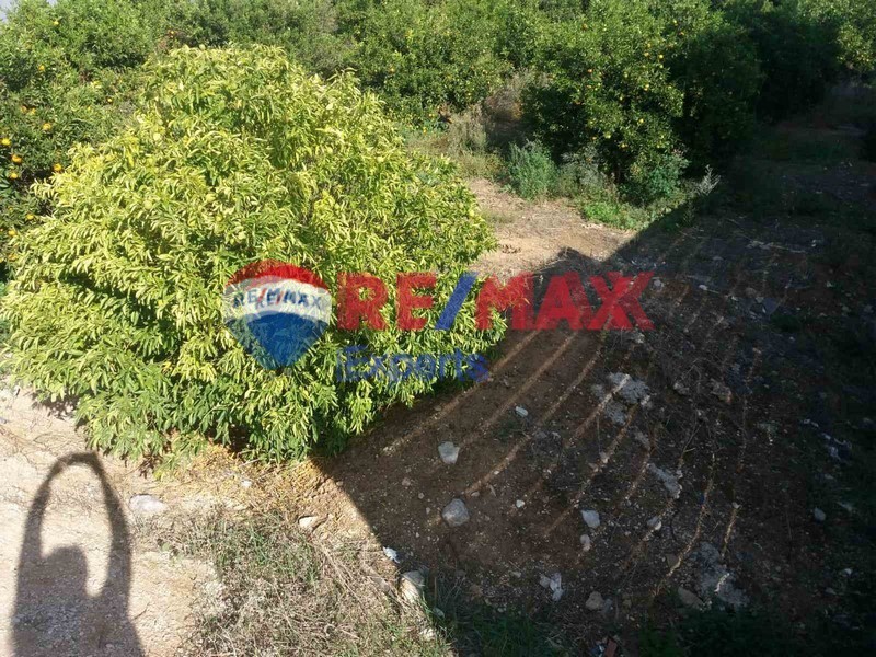 Οικόπεδο 500 τ.μ. προς πώληση, Πυργέλλα