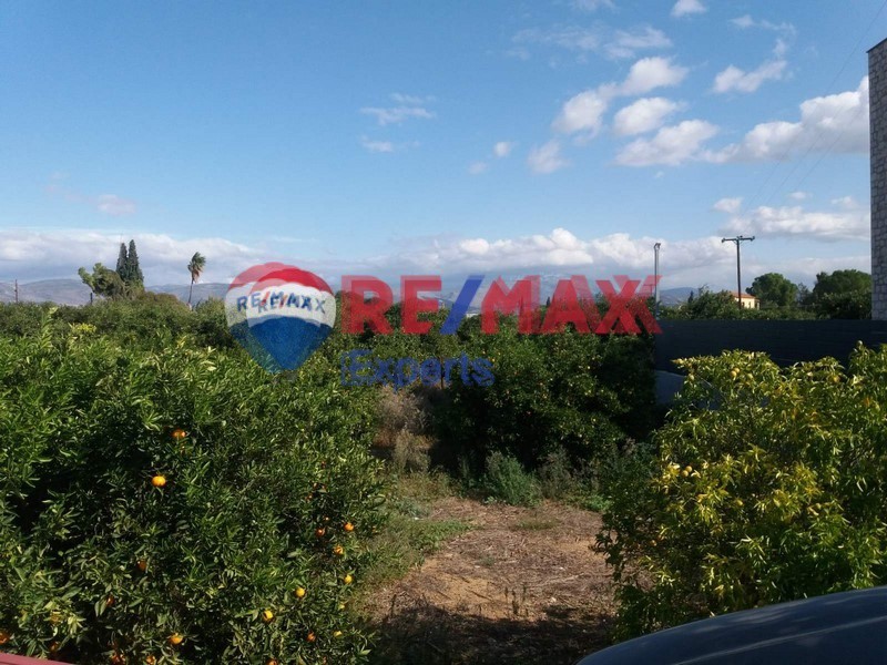 Οικόπεδο 500 τ.μ. προς πώληση, Πυργέλλα