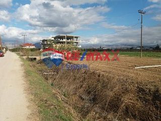 Οικόπεδο 1.000 τ.μ. για πώληση, Αργολίδα, Άργος-thumb-11