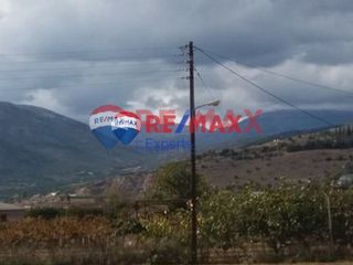 Οικόπεδο 1.000 τ.μ. για πώληση, Αργολίδα, Άργος-thumb-9