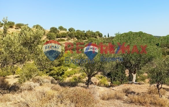Αγροτεμάχια 4.083 τ.μ. προς πώληση, Τολό