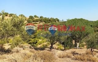 Αγροτεμάχια 4.083 τ.μ. προς πώληση, Τολό-thumb-3