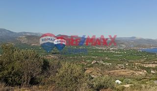 Αγροτεμάχια 4.083 τ.μ. προς πώληση, Τολό-thumb-1