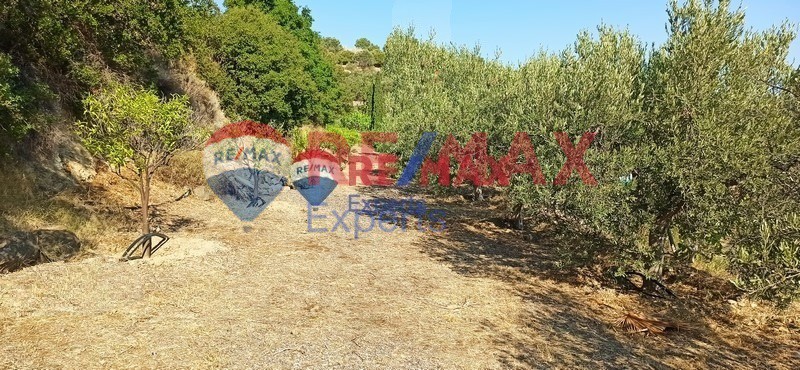 Αγροτεμάχια 4.083 τ.μ. προς πώληση, Τολό