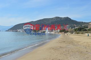 Αγροτεμάχια 4.083 τ.μ. προς πώληση, Τολό-thumb-7