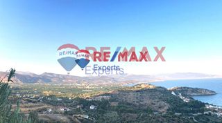 Αγροτεμάχια 4.083 τ.μ. για πώληση