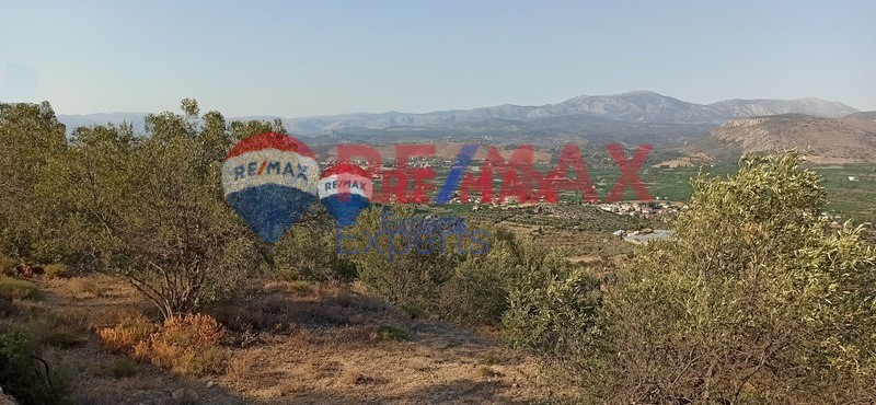 Αγροτεμάχια 4.083 τ.μ. προς πώληση, Τολό