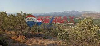 Αγροτεμάχια 4.083 τ.μ. προς πώληση, Τολό-thumb-2