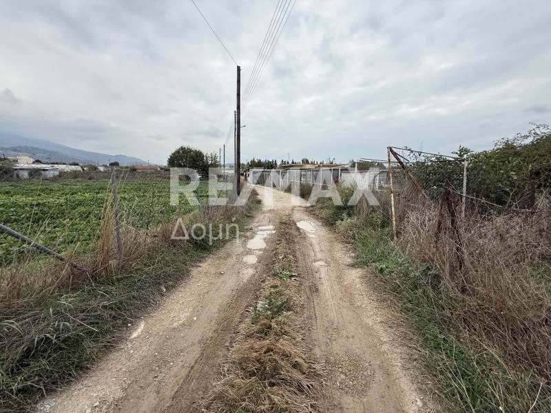 Οικόπεδο 2.873 τ.μ. πρός πώληση, Μαγνησία, Νέα Ιωνία Βόλου