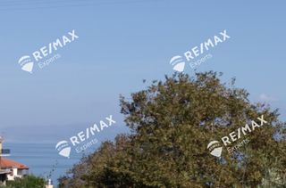 Οικόπεδο 268 τ.μ. για πώληση, Αρκαδία, Λεωνίδιο-thumb-15
