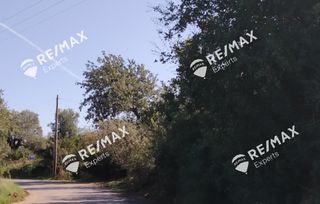 Οικόπεδο 268 τ.μ. για πώληση, Αρκαδία, Λεωνίδιο-thumb-2