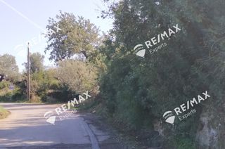 Οικόπεδο 268 τ.μ. για πώληση, Αρκαδία, Λεωνίδιο-thumb-1