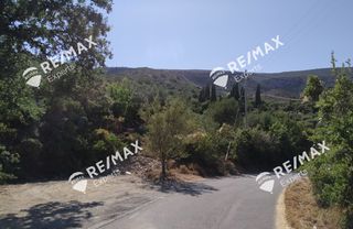 Οικόπεδο 268 τ.μ. για πώληση, Αρκαδία, Λεωνίδιο-thumb-9