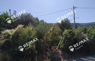 Οικόπεδο 268 τ.μ. για πώληση, Αρκαδία, Λεωνίδιο-thumb-4