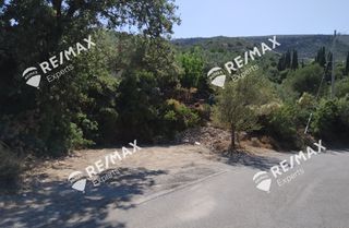 Οικόπεδο 268 τ.μ. για πώληση, Αρκαδία, Λεωνίδιο-thumb-7