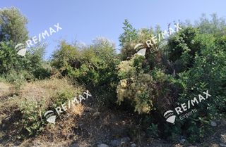 Οικόπεδο 268 τ.μ. για πώληση, Αρκαδία, Λεωνίδιο-thumb-8