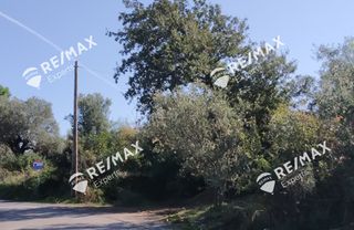Οικόπεδο 268 τ.μ. για πώληση, Αρκαδία, Λεωνίδιο-thumb-14