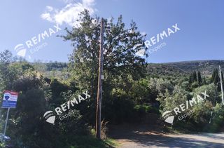 Οικόπεδο 268 τ.μ. για πώληση, Αρκαδία, Λεωνίδιο-thumb-10
