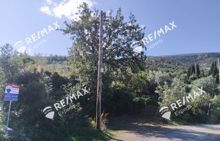 Οικόπεδο 268 τ.μ. για πώληση, Αρκαδία, Λεωνίδιο-thumb-11