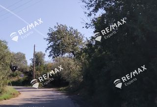 Οικόπεδο 268 τ.μ. για πώληση, Αρκαδία, Λεωνίδιο-thumb-13