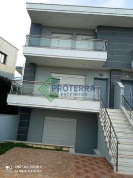 Apartment 230 sqm for rent