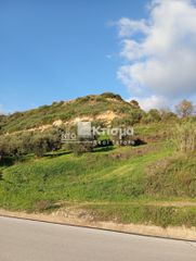 Οικόπεδο 8.265 τ.μ. για πώληση