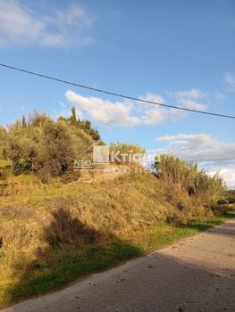 Οικόπεδο 8.001 τ.μ. για πώληση