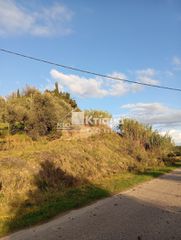 Οικόπεδο 8.001 τ.μ. για πώληση