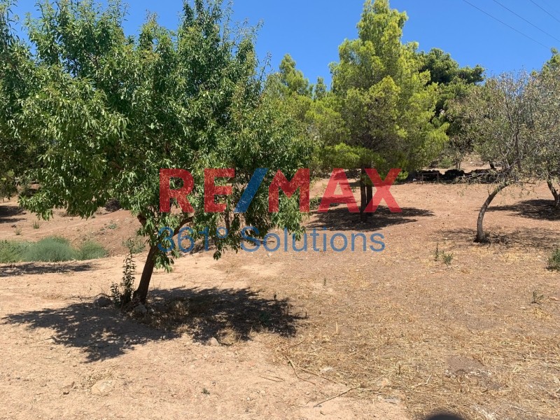 Οικόπεδο 4.140 τ.μ. πρός πώληση, Αττική - Υπόλοιπο, Άγιος Κωνσταντίνος