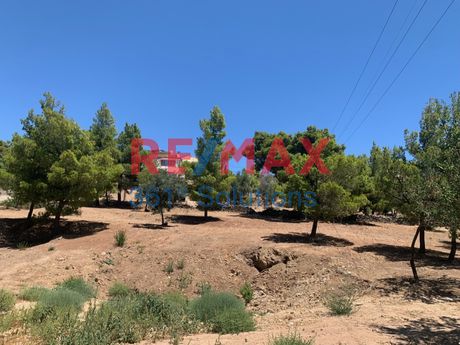 Οικόπεδο 4.140 τ.μ. προς πώληση