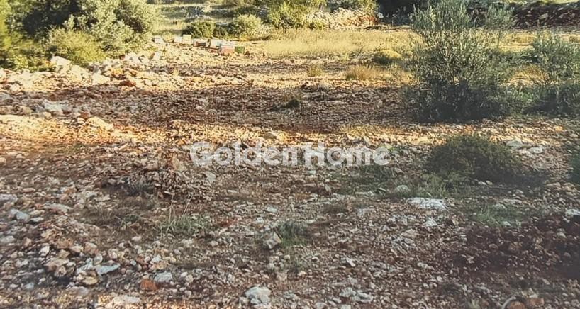 Οικόπεδο 609 τ.μ. προς πώληση, Πηγαδάκια Καρύστου