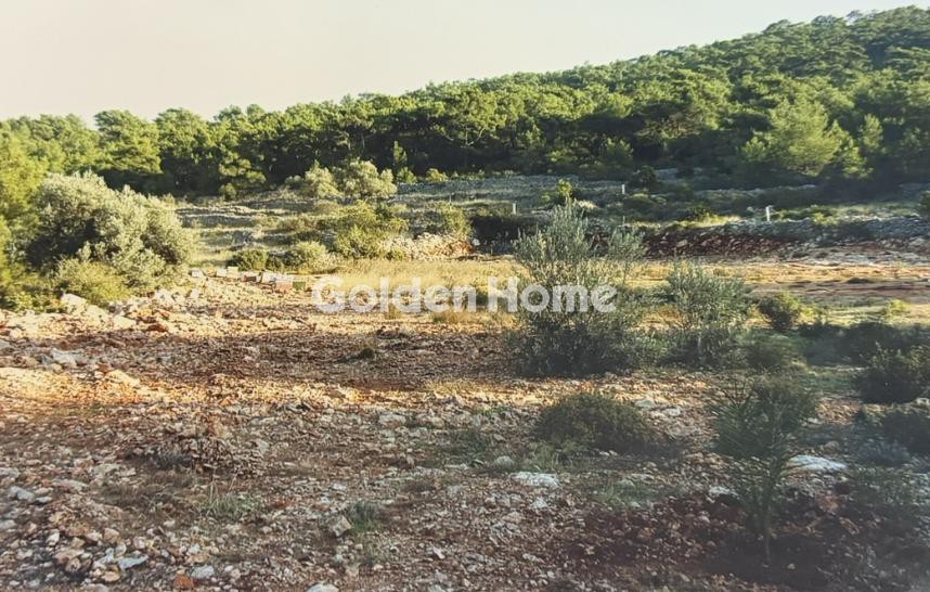 Αγροτεμάχια 13.819 τ.μ. προς πώληση, Καμποχώρια