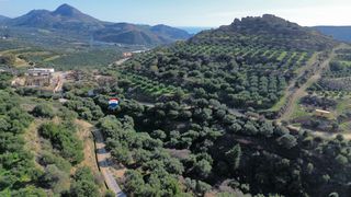 Αγροτεμάχια 5.430 τ.μ. για πώληση