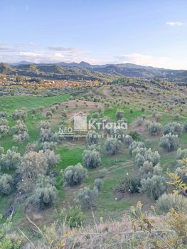 Αγροτεμάχια 11.424 τ.μ. για πώληση