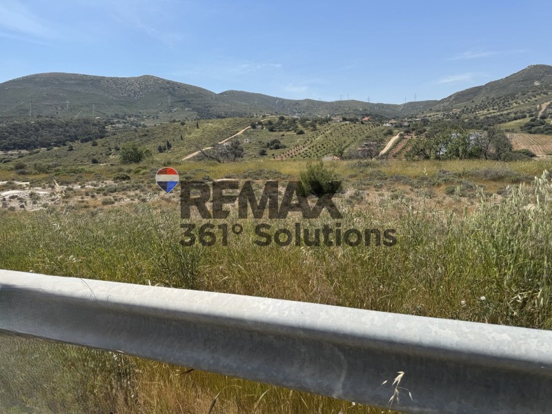 Αγροτεμάχια 4.819 τ.μ. πρός ενοικίαση, Αττική - Υπόλοιπο, Κερατέα