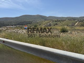 Αγροτεμάχια 4.819 τ.μ. για ενοικίαση