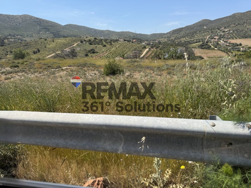 Αγροτεμάχια 4.819 τ.μ. πρός ενοικίαση, Αττική - Υπόλοιπο, Κερατέα