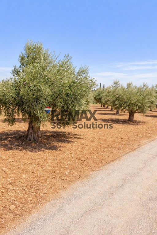 Οικόπεδο 1.192 τ.μ. πρός πώληση, Αθήνα - Ανατολικά Προάστια, Παιανία
