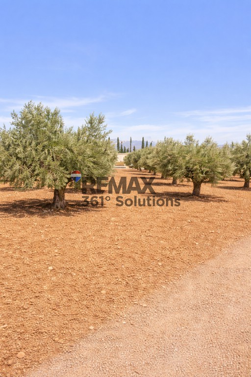 Οικόπεδο 1.192 τ.μ. πρός πώληση, Αθήνα - Ανατολικά Προάστια, Παιανία
