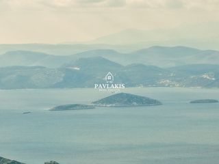 Οικόπεδο 20.270 τ.μ. προς πώληση, Δήλησο-thumb-1