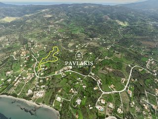 Οικόπεδο 20.270 τ.μ. προς πώληση, Δήλησο-thumb-4