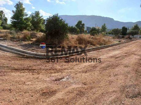 Οικόπεδο 4.555 τ.μ. πρός πώληση