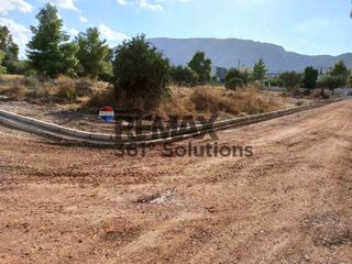 Οικόπεδο 4.555 τ.μ. για πώληση