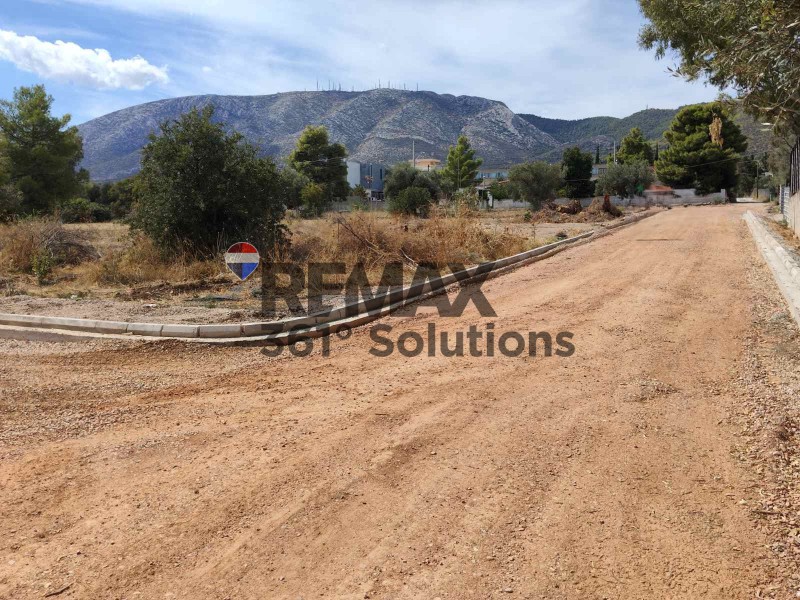 Οικόπεδο 4.555 τ.μ. πρός πώληση, Αθήνα - Ανατολικά Προάστια, Παιανία
