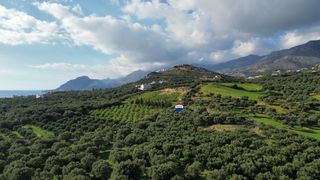 Αγροτεμάχια 7.130 τ.μ. για πώληση